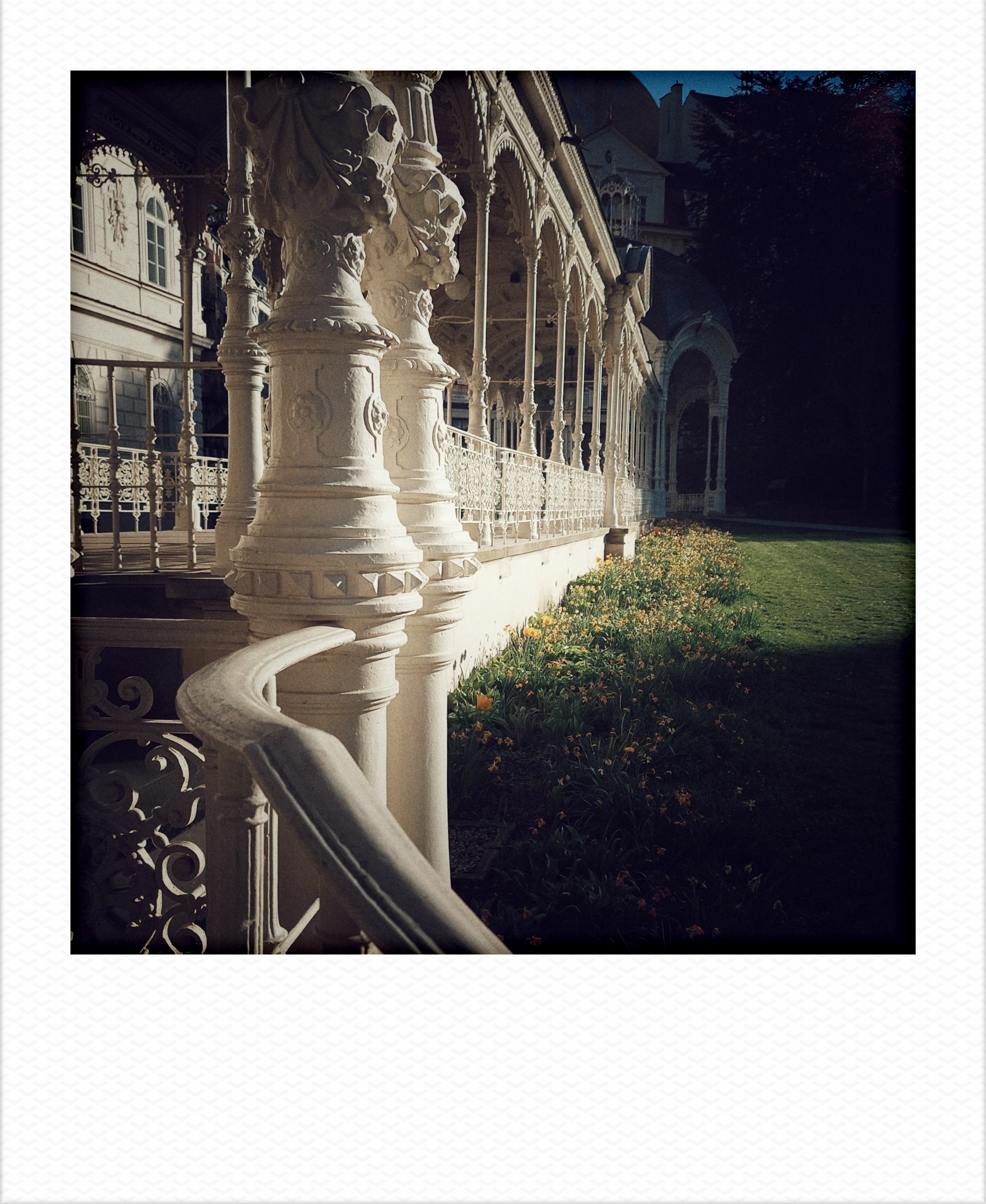 An old iron hallway in a park, late afternoon sun.