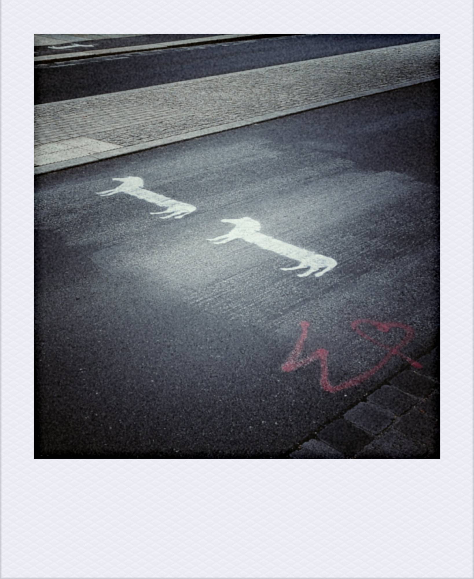 A street crossing with white stylized zebras painted where former zebra stripes have been carven from the surface just recently.