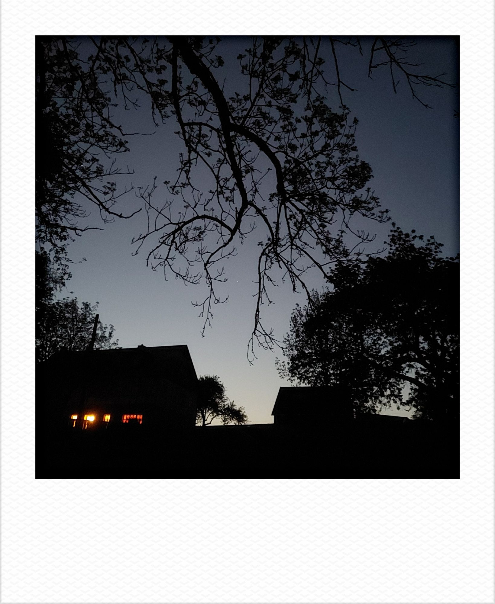 Late dusk sky. Trees and a house, some windows lit.