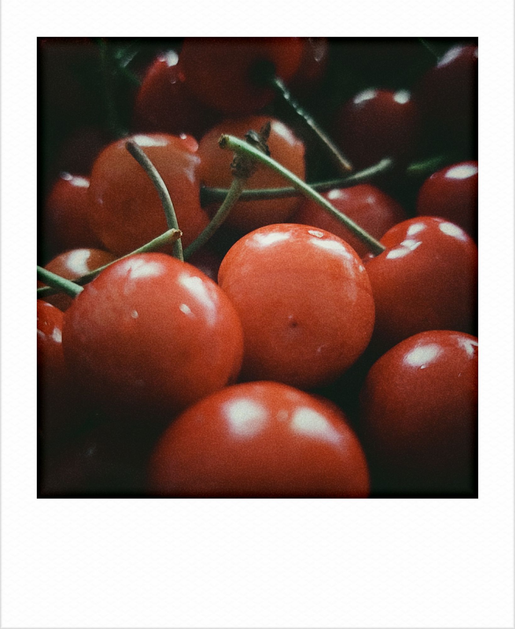 Cherries, closeup.