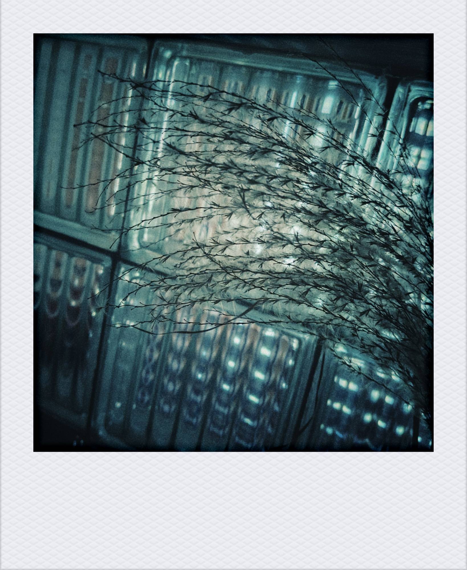 Grass in front of glass tiles.