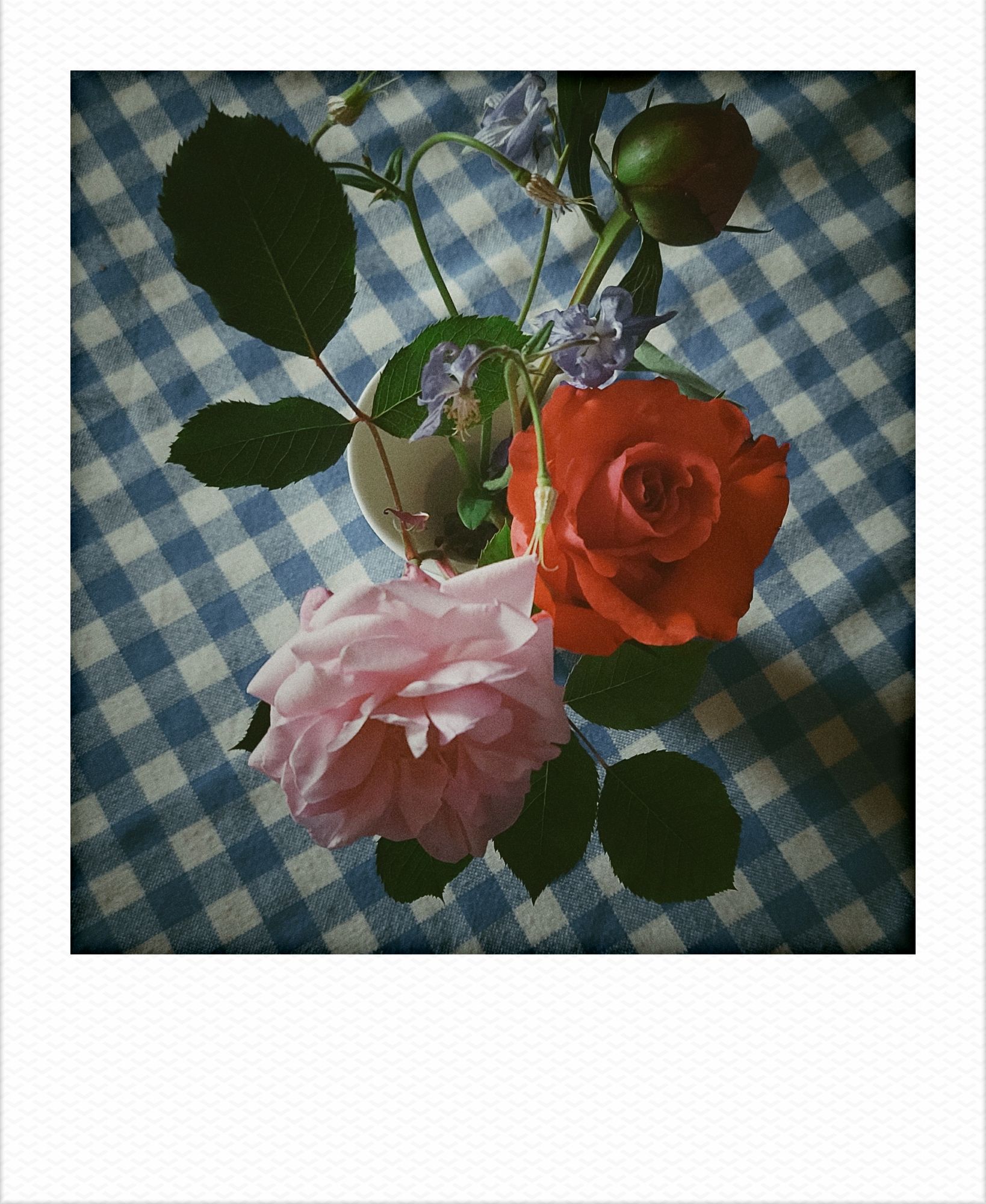 Roses and a peony in a white vase, on a checkered tablecloth.