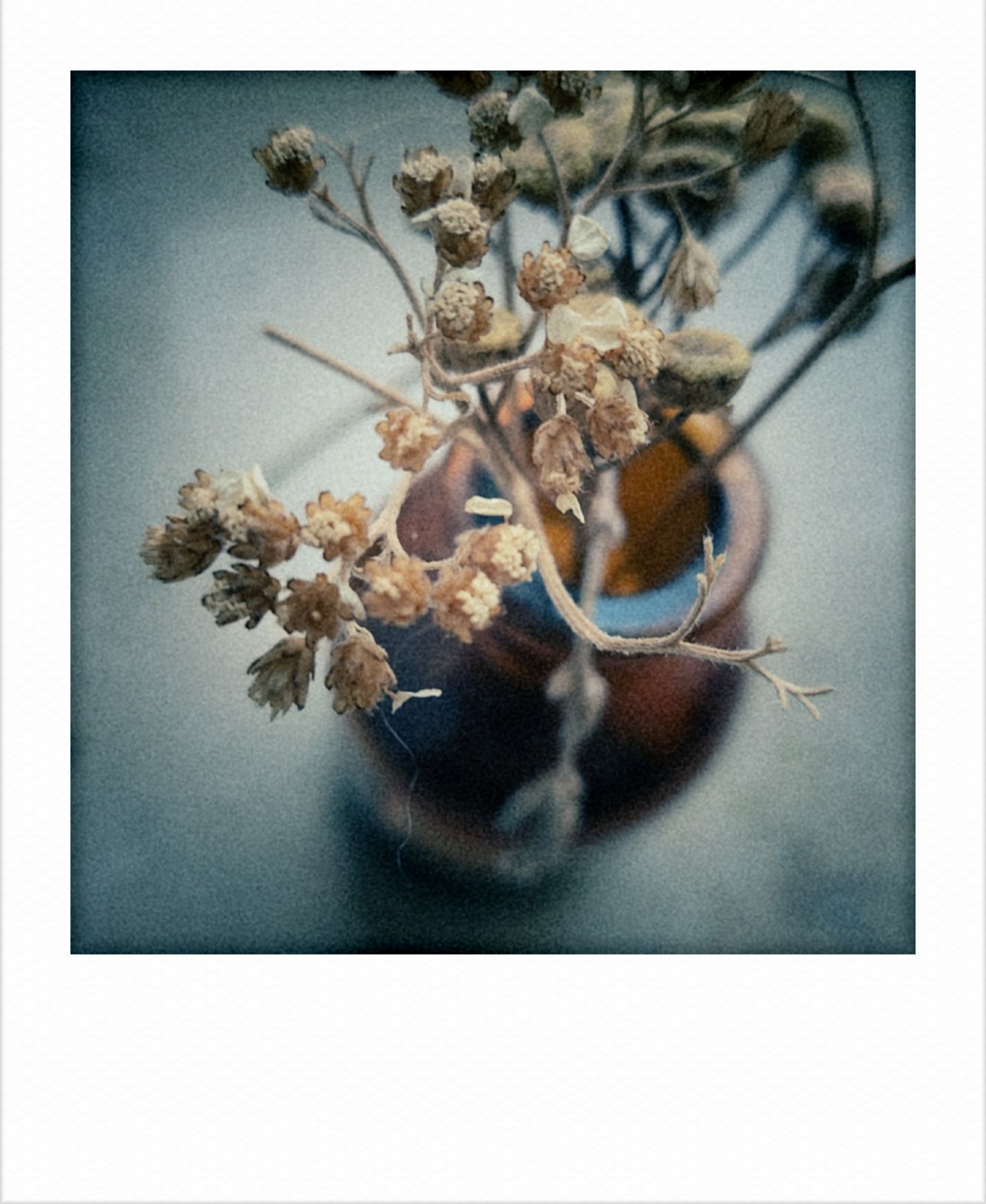 Dried plants in a small brown bottle.