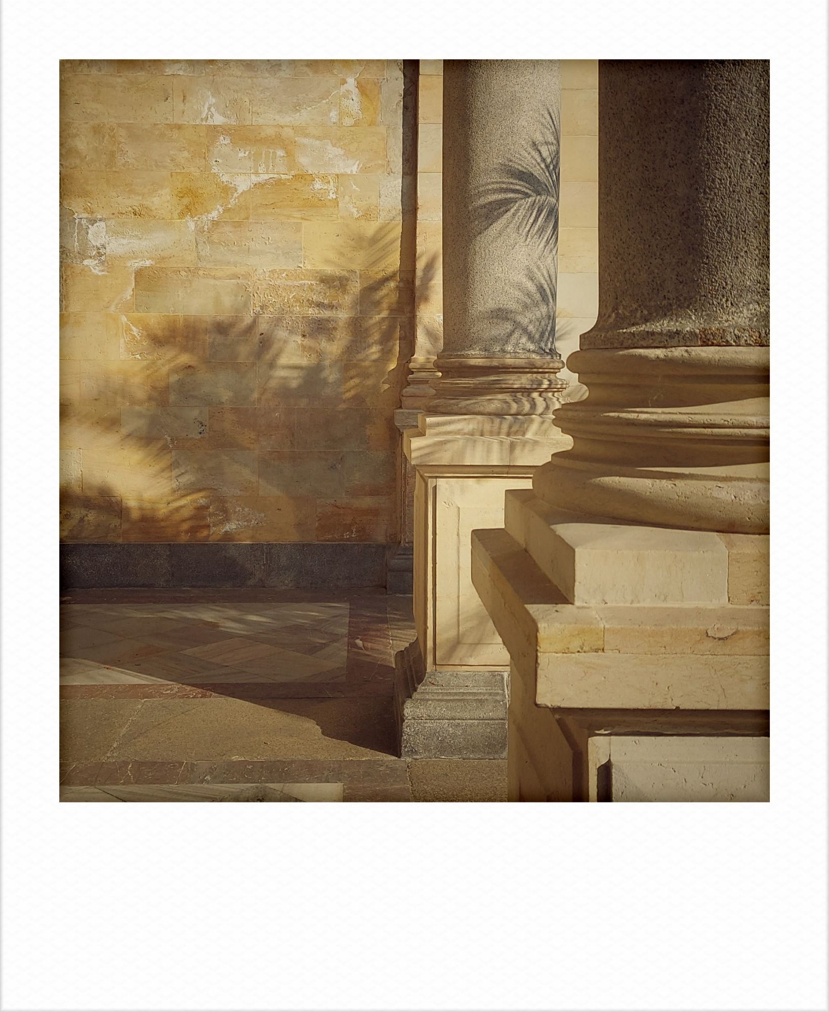 Pillars in an old hallway. And shadows of leaves of palm trees on a wall.