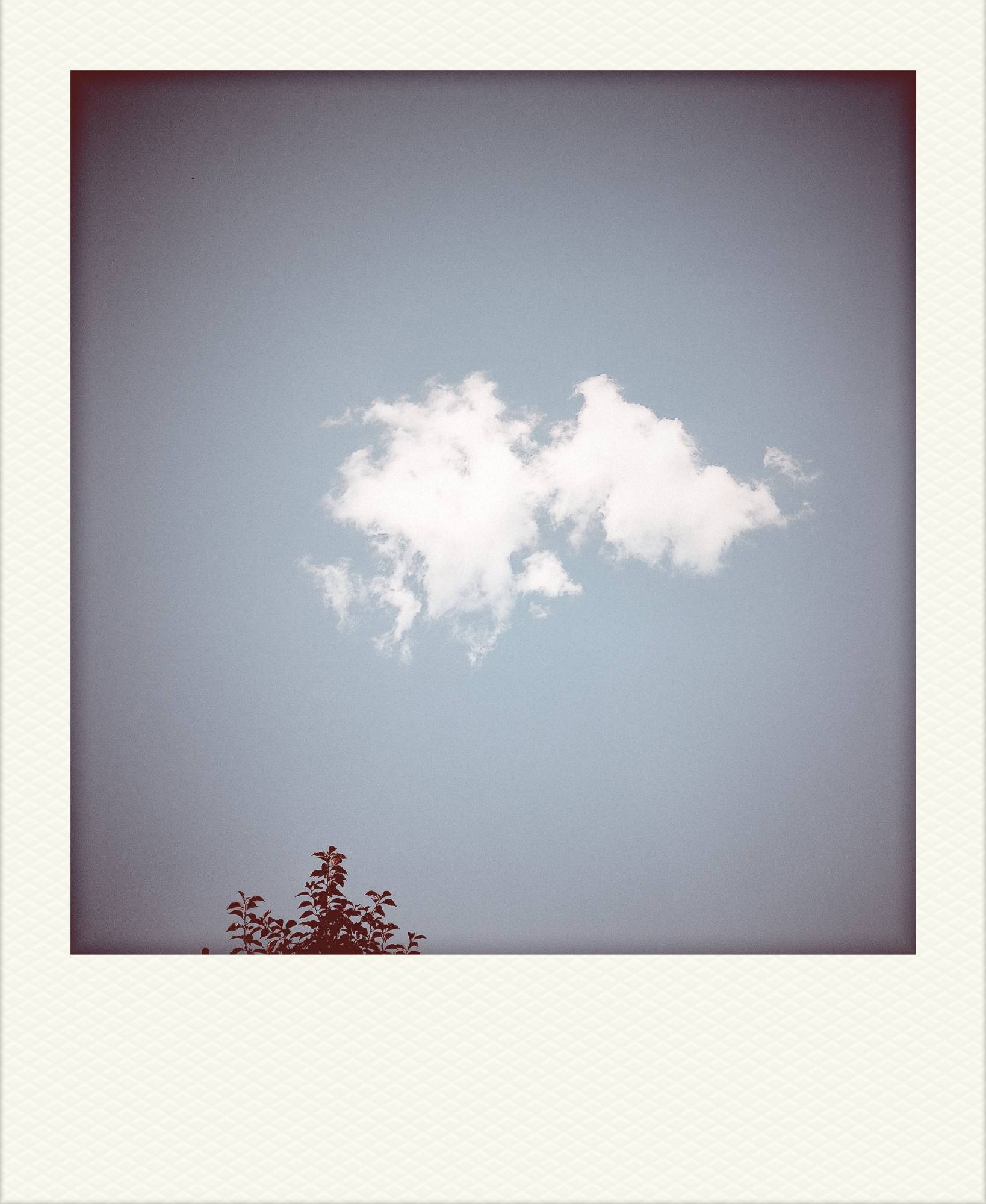 A cloud in a quiet sky.