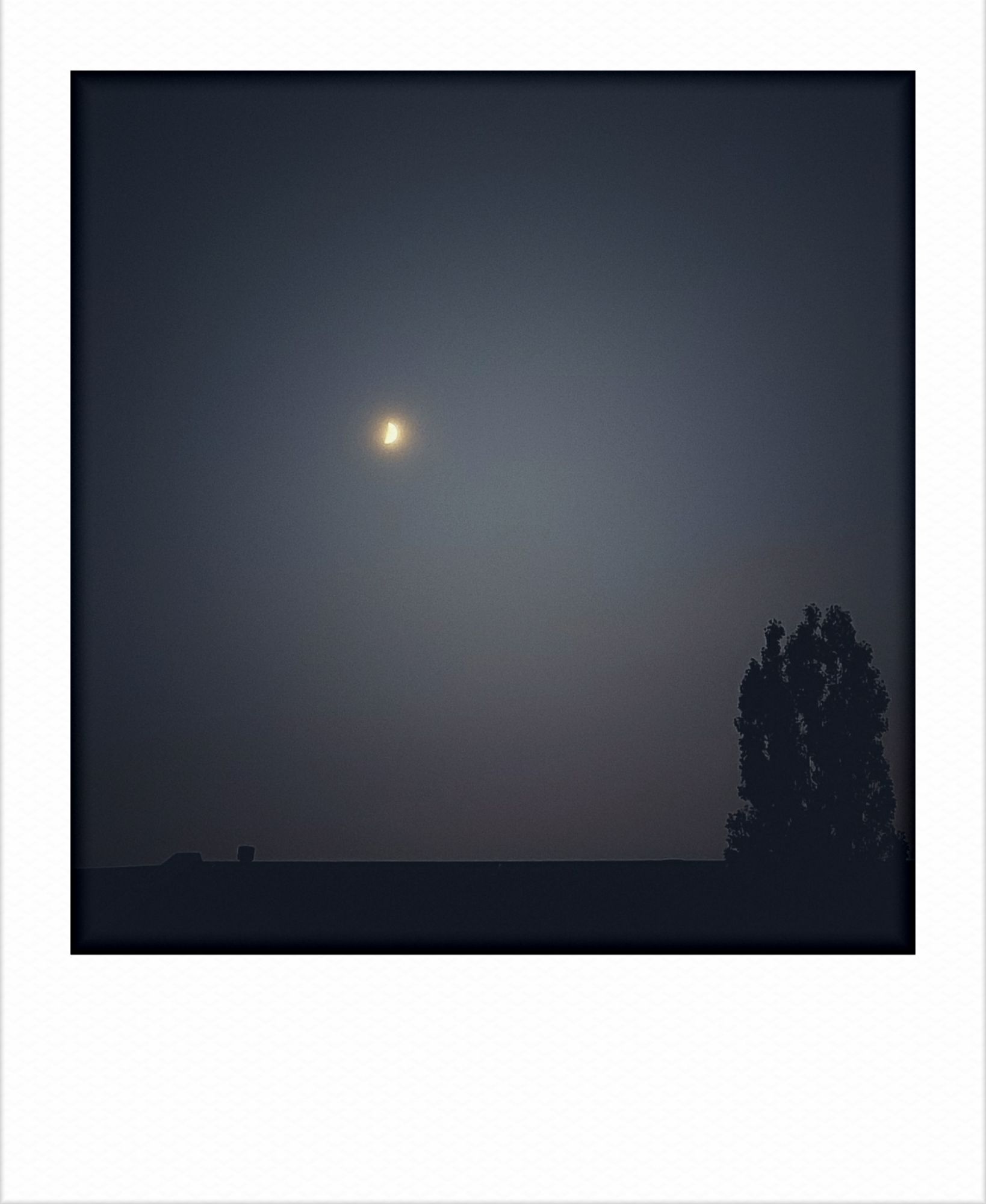 Soft sky, hazy moon above a roofline. A tree on the right.