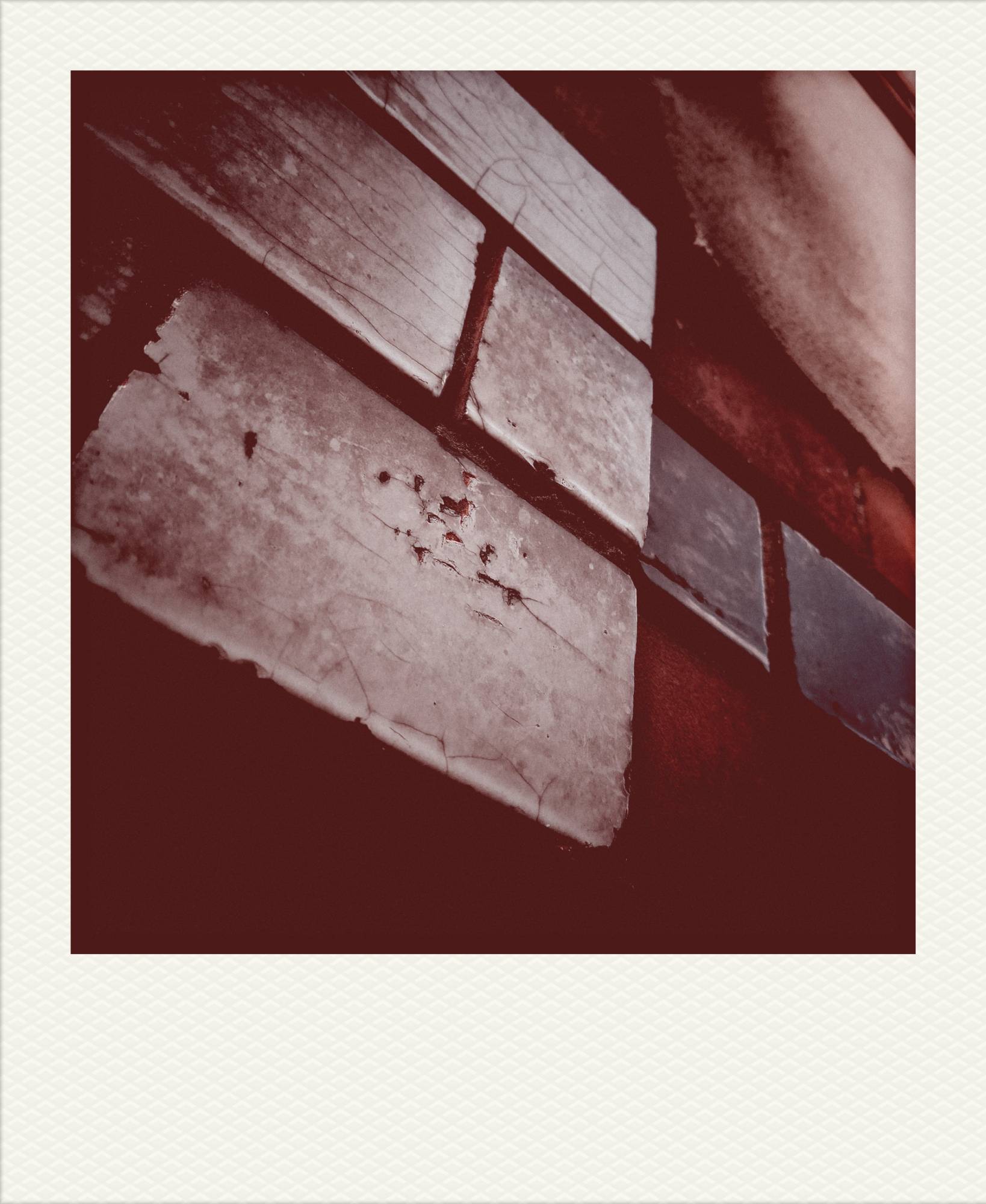 Bricks on an old wall.